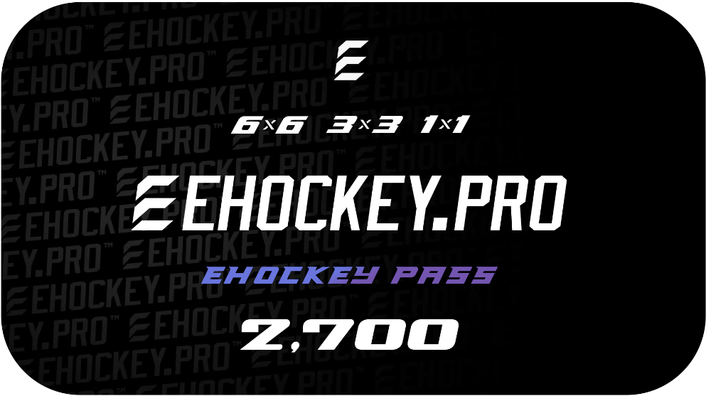 Индивидуальный допуск лицензия игрока на турниры EHOCKEY.PRO